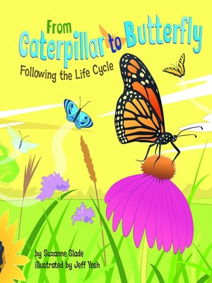 From Caterpillar to Butterfly - ebook